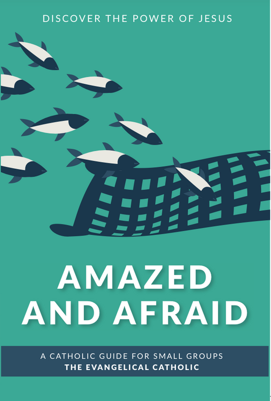 Amazed and Afraid: Discover the Power of Jesus